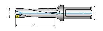EDX4D-1.png